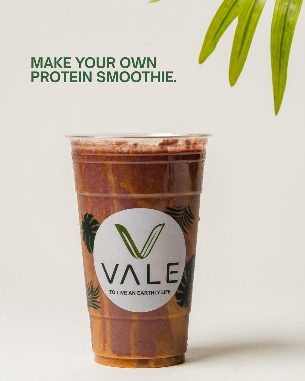 Plant-Based Vegan Protein - Chocolate