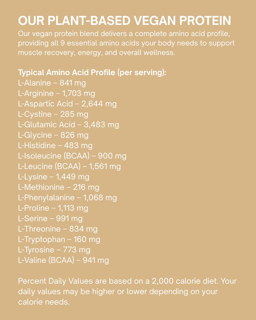 Plant-Based Vegan Protein - Chocolate
